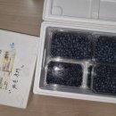 대성농원 이미지