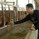 강진맥우축산영농조합법인 아시아경제