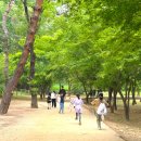서울 선정릉 역사나래 도슨트 후기 및 나래상점 가정의 달 100원 이벤트 정보