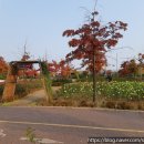 청라 호수공원 족구장 이미지