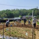 구로농장 이미지