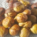 4공주농장 이미지