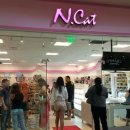 못된고양이 이미지