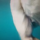 구제나라 - 미추홀구 경인로70번길 10-3 | 구제나라