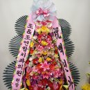 조앤조연합치과의원 이미지