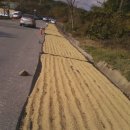 장동농장 이미지