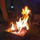 낙동강체육공원 구미캠핑장 화장실2 이미지