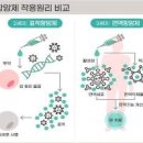 표적항암 표적항암제 항암제란 항암제 종류 표적항암 장단점 이미지