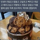 레전드 태권도장 | 4월 정산