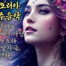 1.나자리노2. 위대한사랑3.이사도라.4.첫발자국 5.야생화 이미지