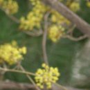 바지랑대 이미지