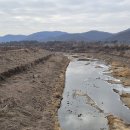 경기둘레길 파주8코스 | 경기둘레길 8코스 연천/파주 *장남교~율곡습지공원* 평화누리길+평화의길 동행 (26.1.06)