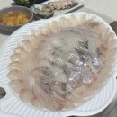 강릉 회포장 중앙시장 추천 맛집 별주부횟집 재방문 후기