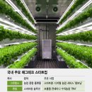 정용진농장 이미지