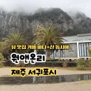 제주 산방산 근처 카페 원앤온리 아기랑 가볼만한 곳