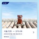 대복카 | 오키나와 여행 준비 | 렌트카 국제운전면허증 발급 &amp; 나이키 키즈 사이즈 실패기