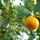 힐링요양병원 이미지