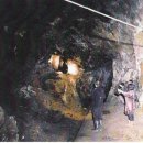 신동양상사 이미지