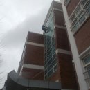 덕일체육관 이미지