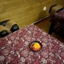 오드리 독 이미지