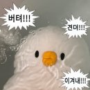 그럼에도불구하고주
