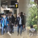숙박업 방역공사
