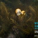 터줏대감 이미지