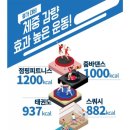 이지점핑다이어트