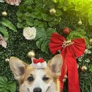 러스틱라운지 이미지