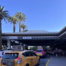 꿀돼지집 이미지