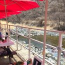 (주)명성 | <명성종가집> 울산 울주 벚꽃뷰맛집 오리고기맛집 26년 오픈런 후기 (벚꽃만개 다음주중에 꼭 가세요)