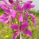 한강시민공원(자연학습장) 이미지