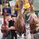 전곡-21 이미지