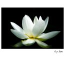 고암이응노생가기념관 이미지