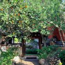 (주)한옥과문화 | 가을날, 종로로 떠나는 이색 한옥 산책! 운현궁·모두의갤러리