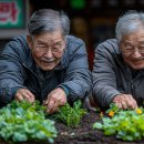 수도경로당 이미지