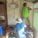 그루터기 이미지