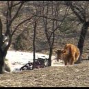 트럼펫연주 이미지