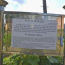 우구정가옥 나그네쉬어가는곳 | 강원도 영월 한옥스테이 우구정가옥/전통가옥 체험