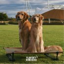 도그플랜 이미지