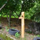 정금마을 차밭 앞 이미지