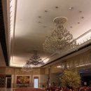 멜로비티 이미지