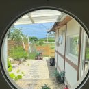 스테이모래내 | 강릉 5인 숙소 친구들과 아늑하게 머문 스테이모래내 후기