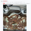 에이급수산 네이버블로그