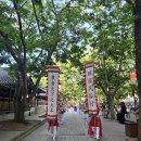 야간)사물놀이 | 용인 막걸리 축제, 여름 한국민속촌 야간개장 솔직후기