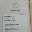 영상기획