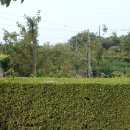 은골농장 이미지