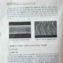 미용사(초급) 이미지