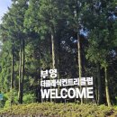 더클래식CC 이미지