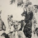 대치1-117 이미지